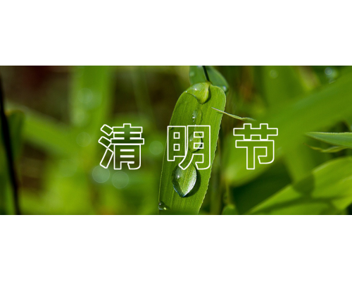 【通知】安佳威视2023年清明节放假通知